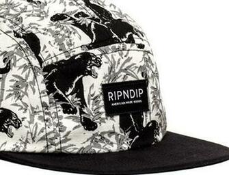 Sex Panther Panel Hat By Rip N Dipoh Snapbacks Strapbacks And