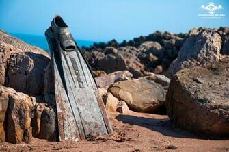 Diving Fins Wallpaper Spearfishing Ireland