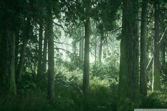 The Last Of Us Part Ii Ultra HD Desktop Background Wallpaper