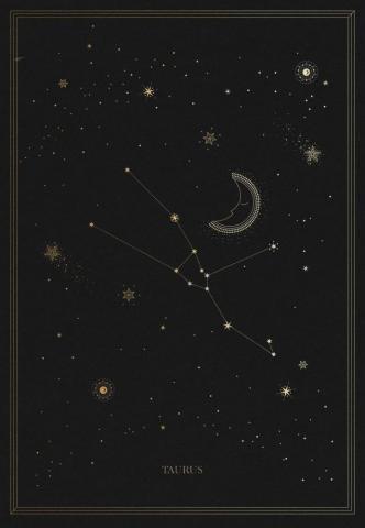The Taurus Constellation Arte Tauro Constelacion Y