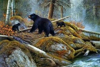 Bear HD Wallpaper