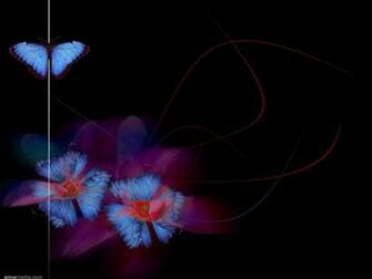 Is The Useful Black Butterfly Flower Pink Wallpaper Background