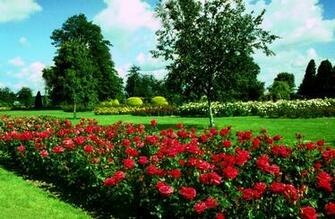 Gardens Comments Pictures Image Wallpaper