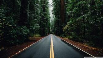 Beautiful Road 4k HD Desktop Wallpaper For Ultra Tv