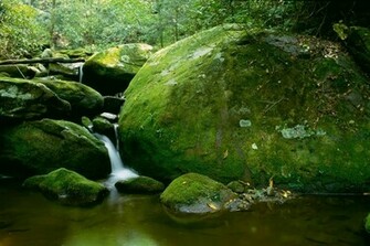 Supernatural Wallpaper Super Natural Cool Most Beautiful