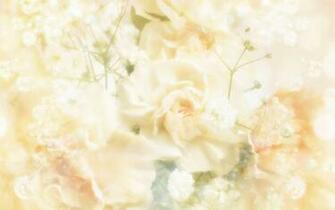 Wedding Background Image