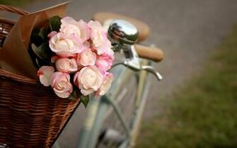 Warm And Pure Pink Flowers Desktop Wallpaper Mulberry Nails