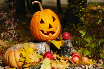 Give Thanks In The Hill Country Hcpl