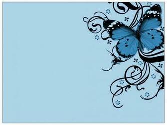 Butterflies Are So Beautiful And Such Spirits This Is How