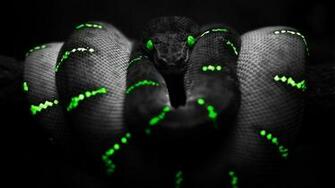 Wallpaper Razer By Cltutoriales