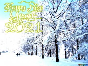 Picture The Snow Winter Forest Happy New Year