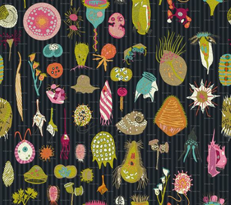 Giant Protozoa Bestiary Multi Dark Wallpaper Chantal