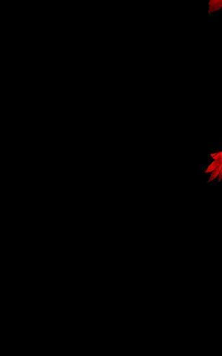 Ibm Thinkpad Lenovo Wallpaper