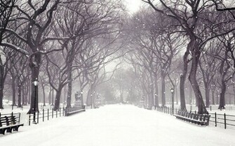 Winter Snow Animated Wallpaper S Multimedia Gallery