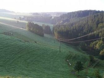 Wallpaper D Un Pr Bordant La For T Noire En Allemagne