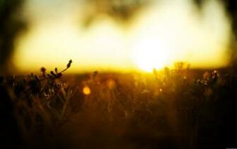 Day Life Wallpaper Photomanipulations