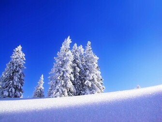 Tag Snow Wallpaper Background Photos Pictures And Image For