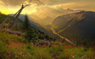Mount Rainier National Park Wallpaper