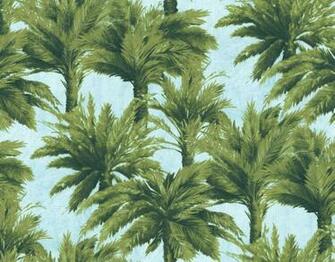 Found On Pierrefrey
