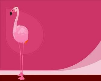 Flamingo Color Desktop Pc And Mac Wallpaper