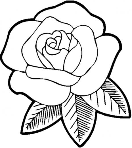 Printable Coloring S For Teenagers Girls