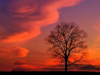 Sunset Cool