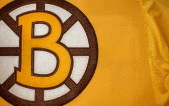 Boston Bruins Logo Wallpaper