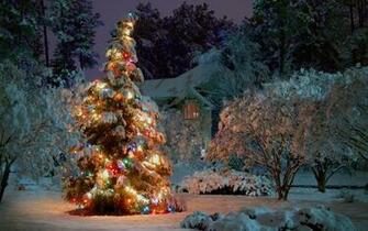 Outdoor Christmas Tree Desktop Pc And Mac Wallpaper