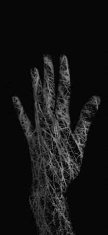 The Artistic Texture Of Hand iPhone X Wallpaper