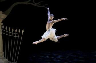 Description From Swan Lake Ballet Pictures Wallpaper
