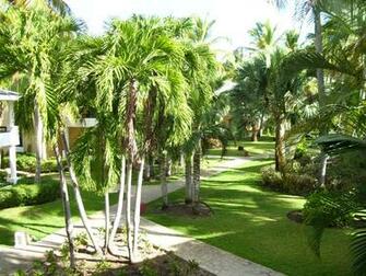 Punta Cana HD Wallpaper Widescreen Id