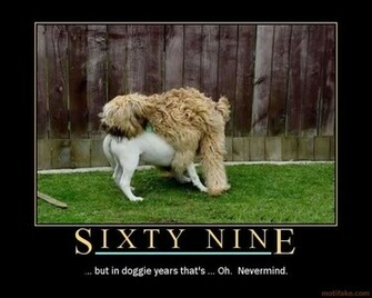 Demotivational Posters Collection Photo Of Phombo