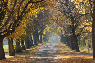 Cozy Autumn Wallpaper