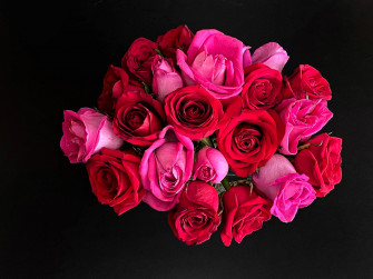 Top Rose iPhone Wallpaper Full HD 4k To Use