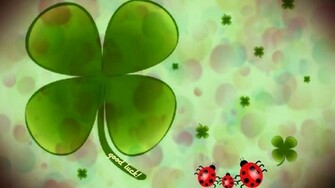 Good Luck Chuck Wallpaper Car Pictures