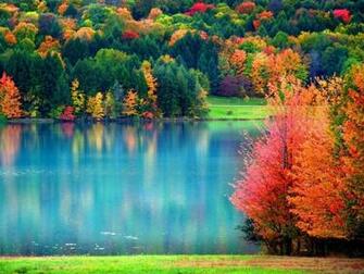 Wallpaper Fall