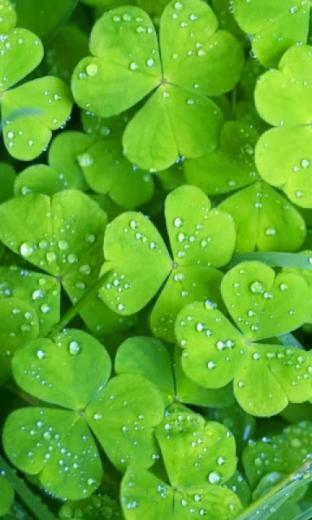 Wallpaper For Nokia Lumia Phones Technology Ging Seo