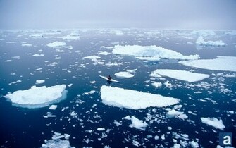 Adventure Journal Wallpaper Wednesday Western Greenland Kayaking