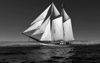 Best Wallpaper Collection Black And White Ii