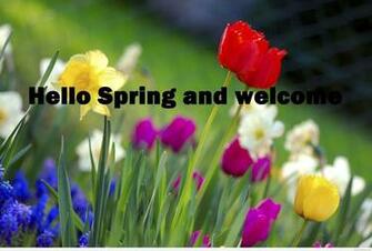 Hello Spring Wallpaper