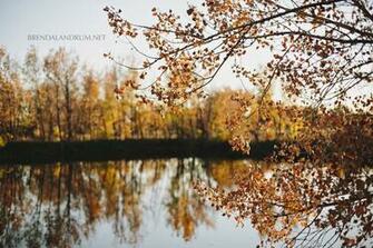 November Wallpaper For Desktop iPad iPhone By Brenda