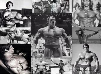 Arnold Schwarzenegger Wallpaper
