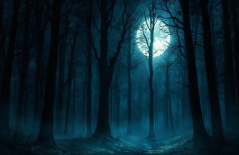 Dark Forest With Moon Wallpaper