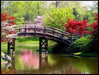 Spring Wallpaper