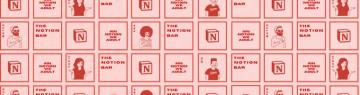 The Notion Bar Certified Consultant Expert Aesthetic