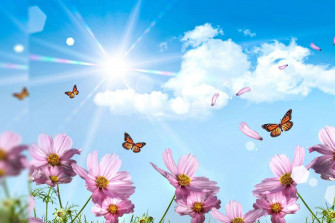 The Best Summer Wallpaper Of