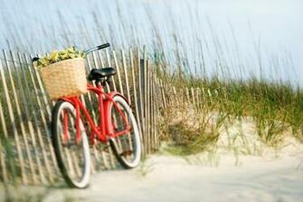 Things To Do On Tybee What See Island