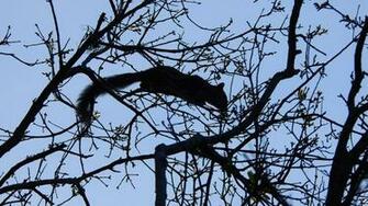 The World S Best Photos Of Bradenton And Wallpaper Hive Mind
