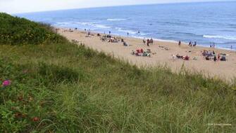 Coast Guard Beach Cape Cod Wallpaper