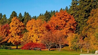 Autumn Landscape Wallpaper